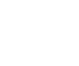 Mark Shiels's logo